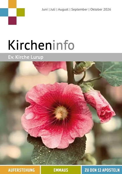 Hibiskusblüte
