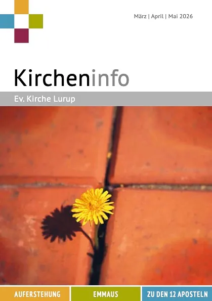 Löwenzahnblüte zwischen Pflastersteinen